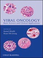 VIRAL ONCOLOGY Basic Science and Clinical Applications pot