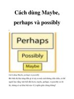 Cách dùng Maybe, perhaps và possibly pptx