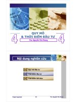 Quy mô và thời điểm đầu tư potx