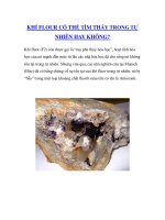 KHÍ FLOUR CÓ THỂ TÌM THẤY TRONG TỰ NHIÊN HAY KHÔNG? doc