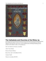 The Cathedrals and Churches of the Rhine docx