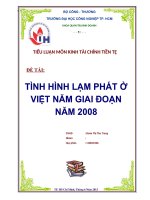 tiểu luận tài chính tiền tê tình hình lạm phát qua các giai đoạn năm 2008 ở việt nam