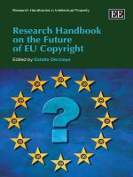 RESEARCH HANDBOOK ON THE FUTURE OF EU COPYRIGHT potx