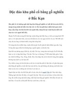 Độc đáo khu phố cổ bằng gỗ nghiến ở Bắc Kạn pot