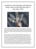 Sự phân bố và bài tiết kháng sinh flofenicol trong cơ thể cá rô phi nuôi nước ngọt và nước mặn ở 28oC ppt