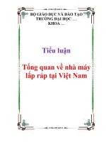 Tiểu luận :Tổng quan về nhà máy lắp ráp tại Việt Nam pdf
