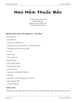 Heo Hầm Thuốc Bắc ppt