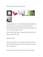 Những xu hướng mới trong phòng tắm pot