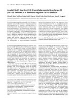 Báo cáo Y học: A catalytically inactive b1,4-N-acetylglucosaminyltransferase III (GnT-III) behaves as a dominant negative GnT-III inhibitor potx