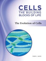 The Evolution of Cells potx