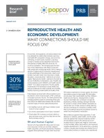 REPRODUCTIVE HEALTH AND ECONOMIC DEVELOPMENT: WHAT CONNECTIONS SHOULD WE FOCUS ON? docx