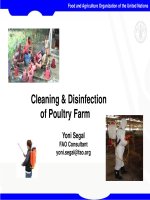 Cleaning & Disinfection of Poultry Farm pdf