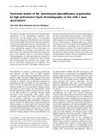 Báo cáo Y học: Functional studies of the Synechocystis phycobilisomes organization by high performance liquid chromatography on line with a mass spectrometer docx