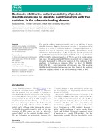 Báo cáo khoa học: Bacitracin inhibits the reductive activity of protein disulﬁde isomerase by disulﬁde bond formation with free cysteines in the substrate-binding domain pptx