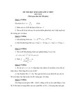 Đề Thi Học Sinh Giỏi Lớp 12 Toán 2013 - Phần 1 - Đề 17 docx