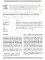 Large scale synthesis, characterization and photoluminescence properties of amorphous silica nanowires by thermal evaporation of silicon monoxide