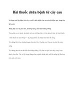Bài thuốc chữa bệnh từ cây cau pptx