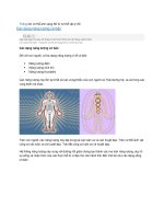 thăng lên cơ thể ánh sáng 5d từ cơ thể vật lý 3d