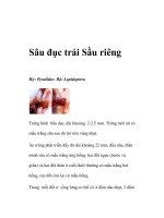 Sâu đục trái Sầu riêng doc