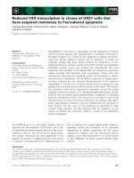 Báo cáo khoa học: Reduced FAS transcription in clones of U937 cells that have acquired resistance to Fas-induced apoptosis ppt