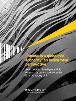 Canada in a globalized economy: an investment perspective pptx
