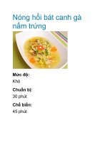 Nóng hổi bát canh gà nấm trứng pdf