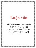 Luận văn: TÌNH HÌNH HOẠT ĐỘNG CỦA NGÂN HÀNG THƯƠNG MẠI CỔ PHẦN QUỐC TẾ VIỆT NAM pptx