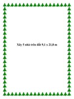 Xây 5 nhà trên đất 9,1 x 21,8 m doc
