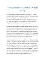 Thương mại điện tử cá nhân ở VN chỉ là rao vặt ppt