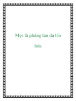 Mẹo là phẳng Mẹo là phẳng làn da lão hóa doc