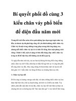 Bí quyết phối đồ cùng 3 kiểu chân váy phổ biến để diện đầu năm mới pptx