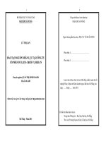 Luận văn:Đào tạo nguồn nhân lực tại công ty cổ phần du lịch - dịch vụ Hội An. potx