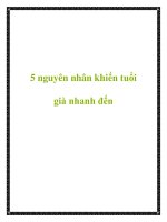 5 nguyên nhân khiến tuổi già nhanh đến docx