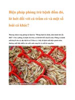 Biện pháp phòng trừ bệnh đốm đỏ, lở loét đối với cá trắm cỏ và một số loài cá khác? pdf