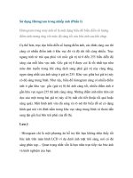 Sử dụng Histogram trong nhiếp ảnh (Phần I) potx