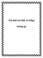 Trị mái tóc khô xơ bằng trứng gà pptx