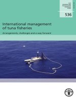 International management of tuna fisheries ppt