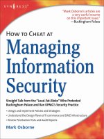 how to cheat at managing information security