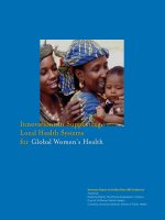 Innovations in Supporting Local Health Systems for Global Women’s Health docx