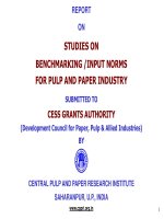 REPORT ON STUDIES ON BENCHMARKING /INPUT NORMS FOR PULP AND PAPER INDUSTRY SUBMITTED TO CESS GRANTS AUTHORITY pot
