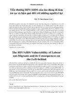 Tổn thương HIV/AIDS của lao động đi làm ăn xa và hậu quả đối với những người ở lại pptx