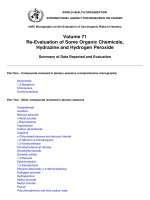 Re-Evaluation of Some Organic Chemicals, Hydrazine and Hydrogen Peroxide potx