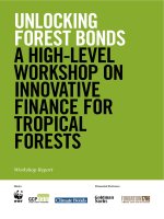 UNLOCKING FOREST BONDS A HIGH-LEVEL WORKSHOP ON INNOVATIVE FINANCE FOR TROPICAL FORESTS docx