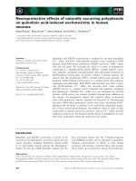 Báo cáo khoa học: Neuroprotective effects of naturally occurring polyphenols on quinolinic acid-induced excitotoxicity in human neurons ppt