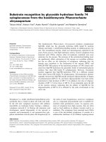 Báo cáo khoa học: Substrate recognition by glycoside hydrolase family 74 xyloglucanase from the basidiomycete Phanerochaete chrysosporium pptx