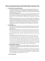 Môi trường marketing về bảo hiểm nhân thọ bảo việt