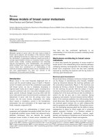 Mouse models of breast cancer metastasis: Anna Fantozzi and Gerhard Christofori pdf