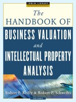 The Handbook of Business Valuation and Intellectual Property Analysis pot