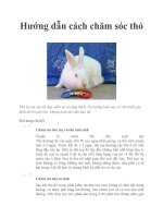 Hướng dẫn cách chăm sóc thỏ potx