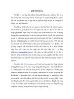 Đề tài: Nghiên cứu ảnh hưởng của liều lượng phân NPK (16-16-8) và (20-20-15) đến sự sinh trưởng và phát triển của hoa đồng tiền (Gerbera jamesonii) màu cam ĐT03, tại TP. Cần Thơ potx